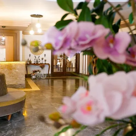 Hotel Labella 2*